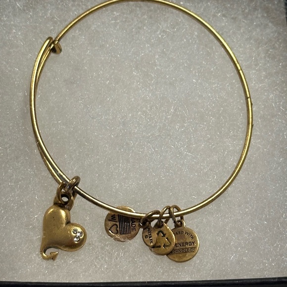 Alex and Ani gold tone energy bracelet - Picture 1 of 8